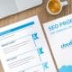 SEO Check Vorlage - Projekt