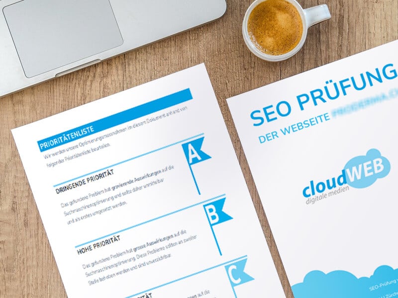 SEO Check Vorlage - Projekt